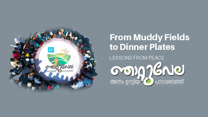 From Muddy Fields to Dinner Plates: Lessons from Peace Njattuvela